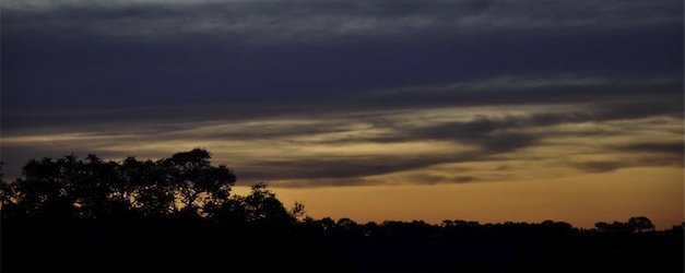 African Sunset