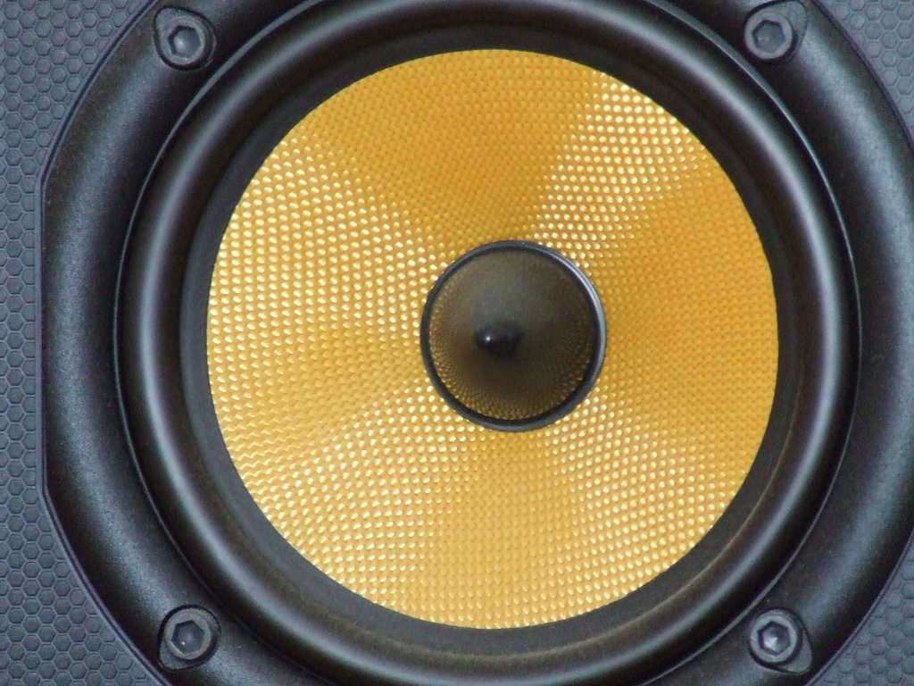 Speaker