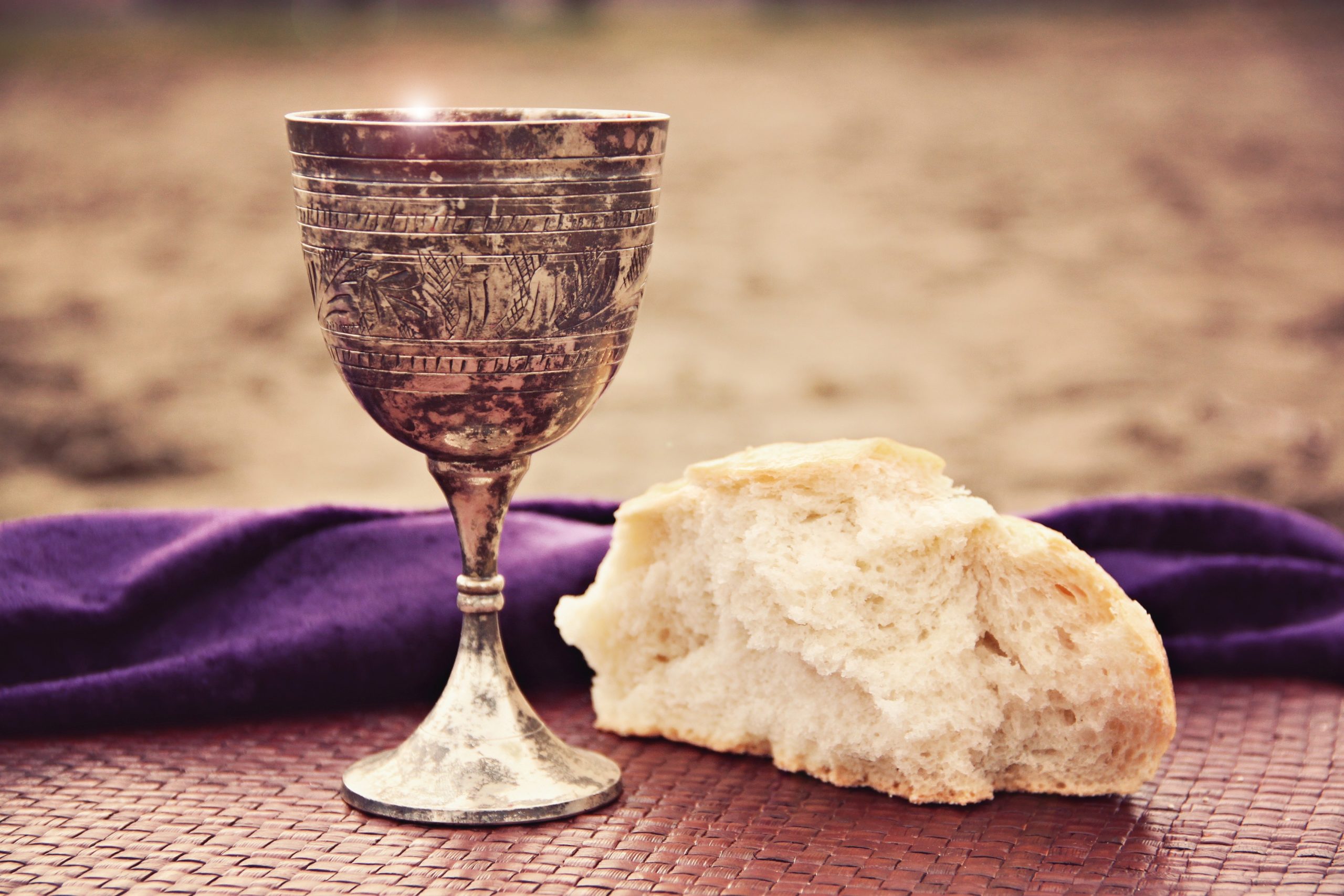 the-purposes-of-the-lord-s-supper-reformed-forum